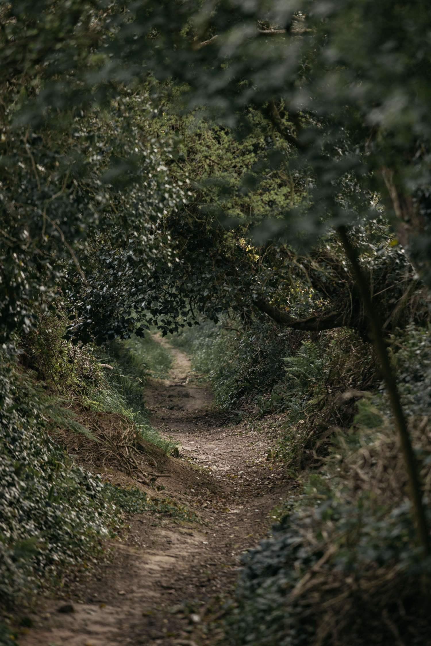 nomades-labutte-cueillette1-12