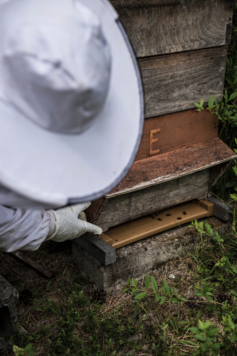 apiculteur_miel_bretagne_keremma5