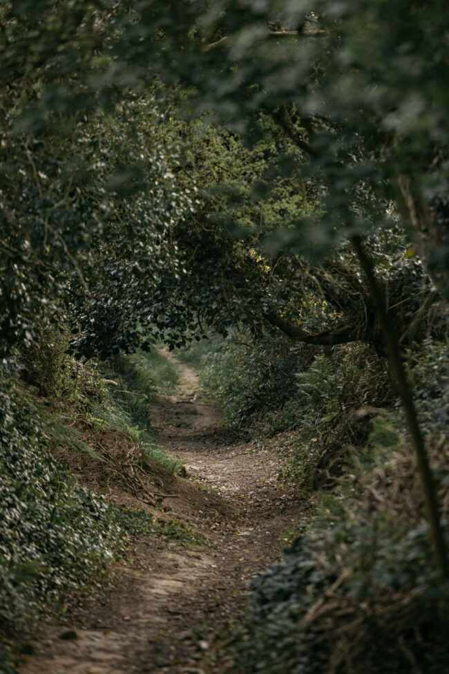 nomades-labutte-cueillette1-12