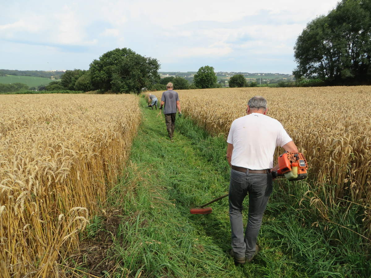 respect_environnement_finistere