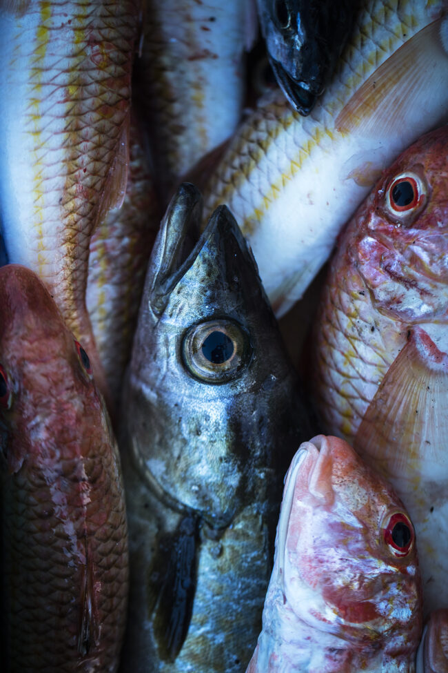 La Butte pe¦éche Roll-46