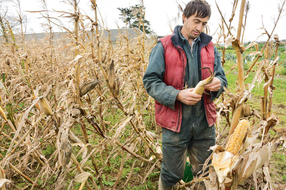 experimentation-culture