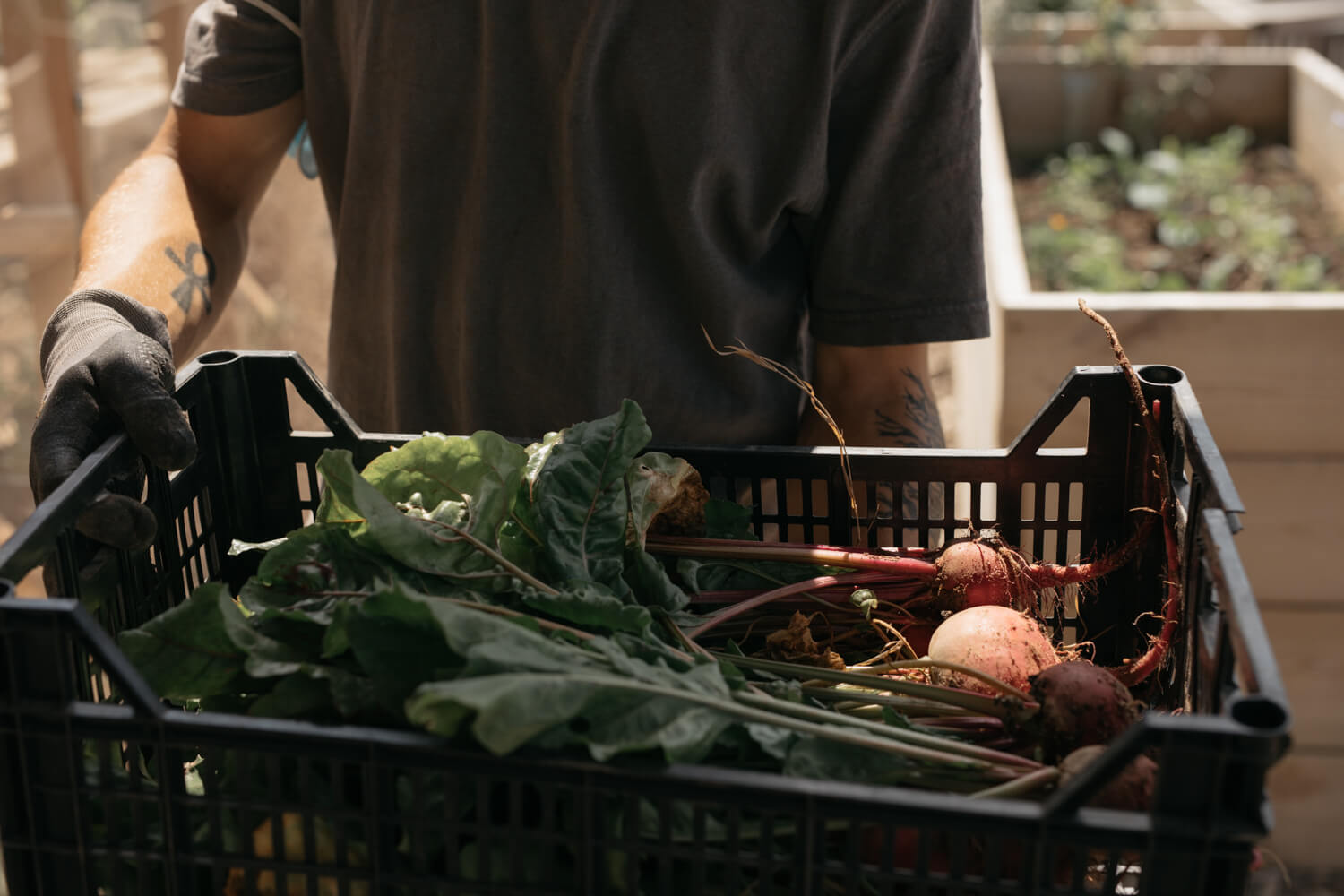 labutte-hotel-potager-legume-du-jardin