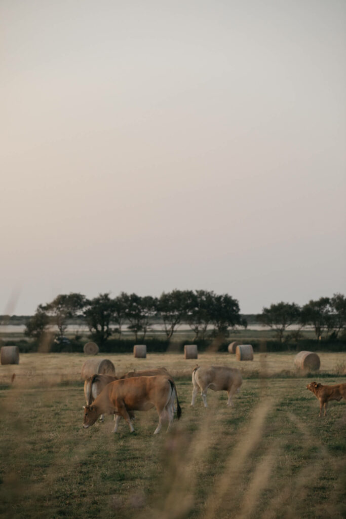 labutte-producteurs-locaux-bretagne
