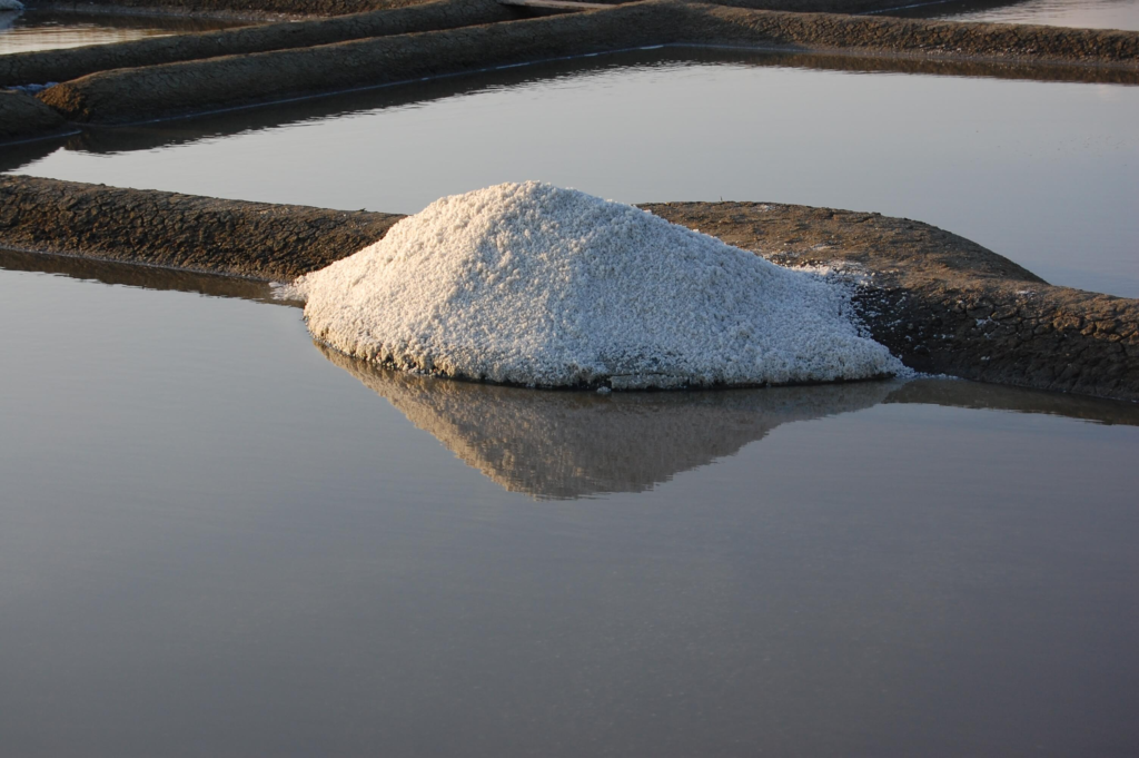 maison-charteau-sel-delicat