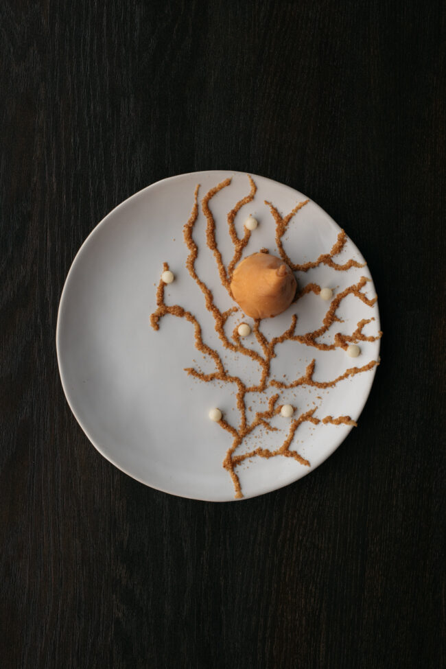 nomades-fermentation-3