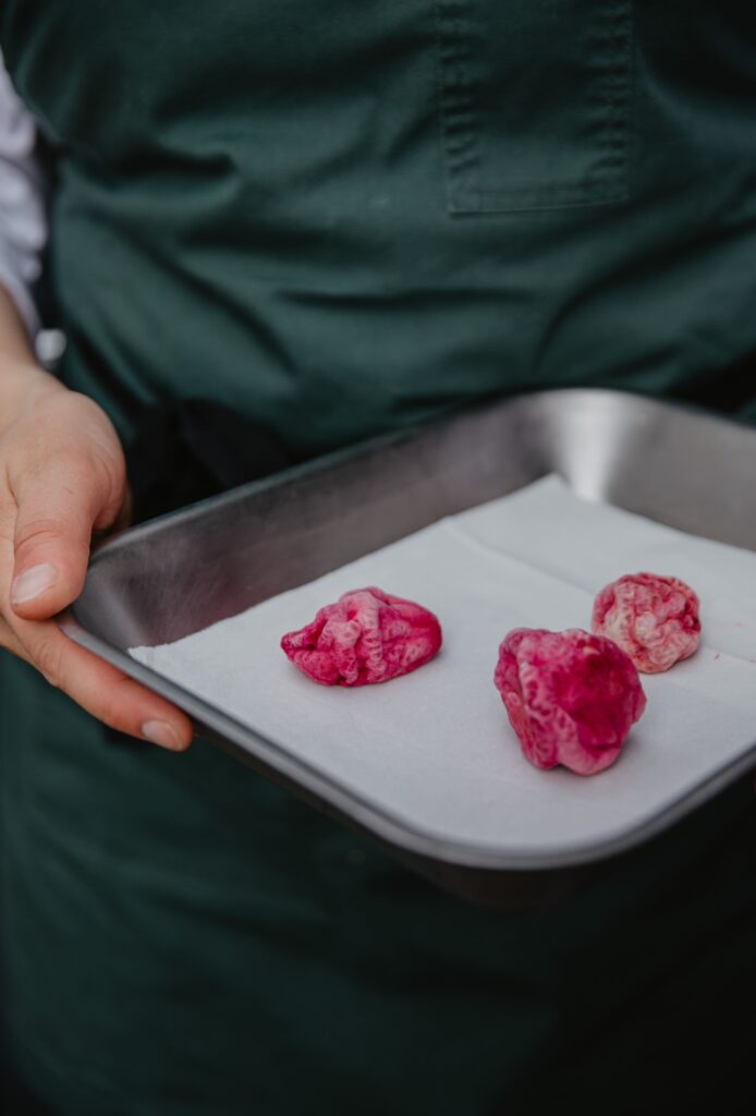 Legumes-fermentation