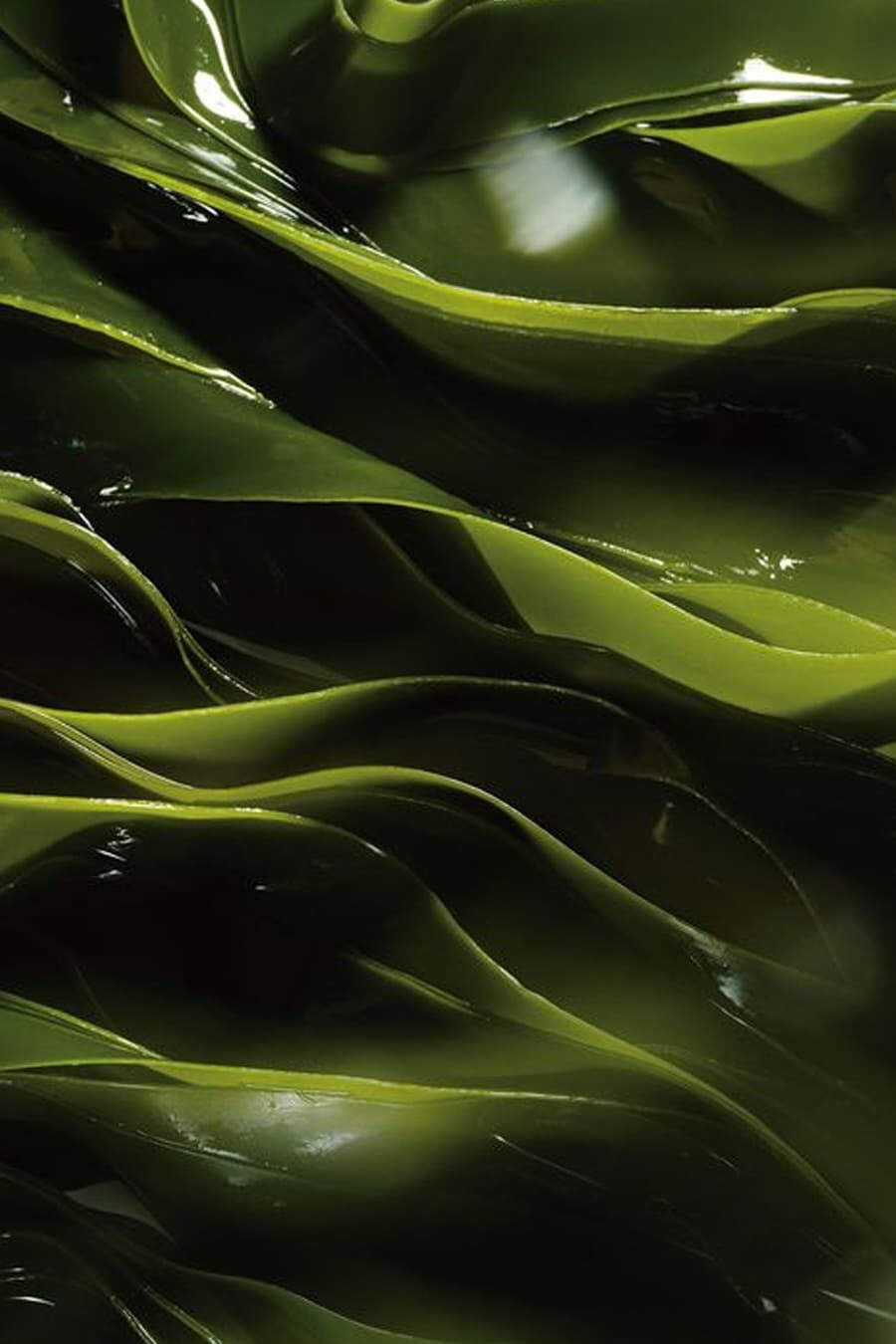 Actif-soin-spa-ho-karan